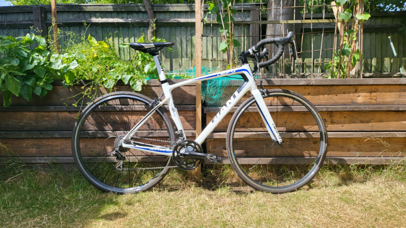 FULL CARBON GIANT DEFY | 105 GROUPSET 